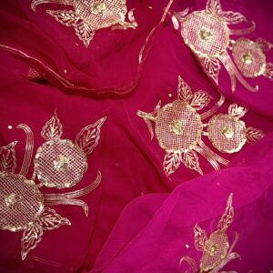 Jaipur Zari chiffon saree